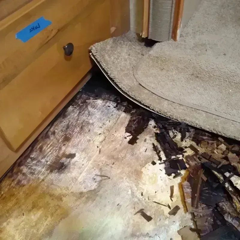 Best Wood Floor Water Damage Service in Lee County, GA